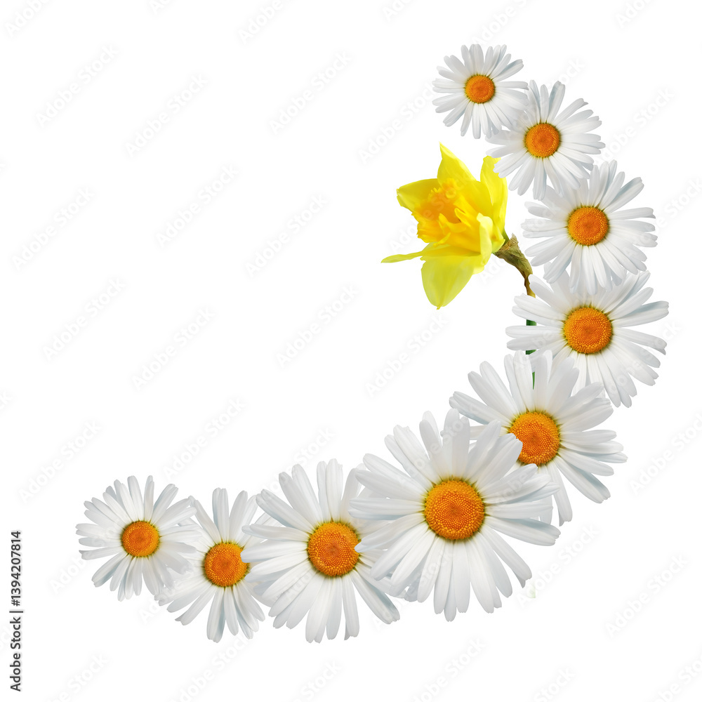 Flowers Border Flowers Border