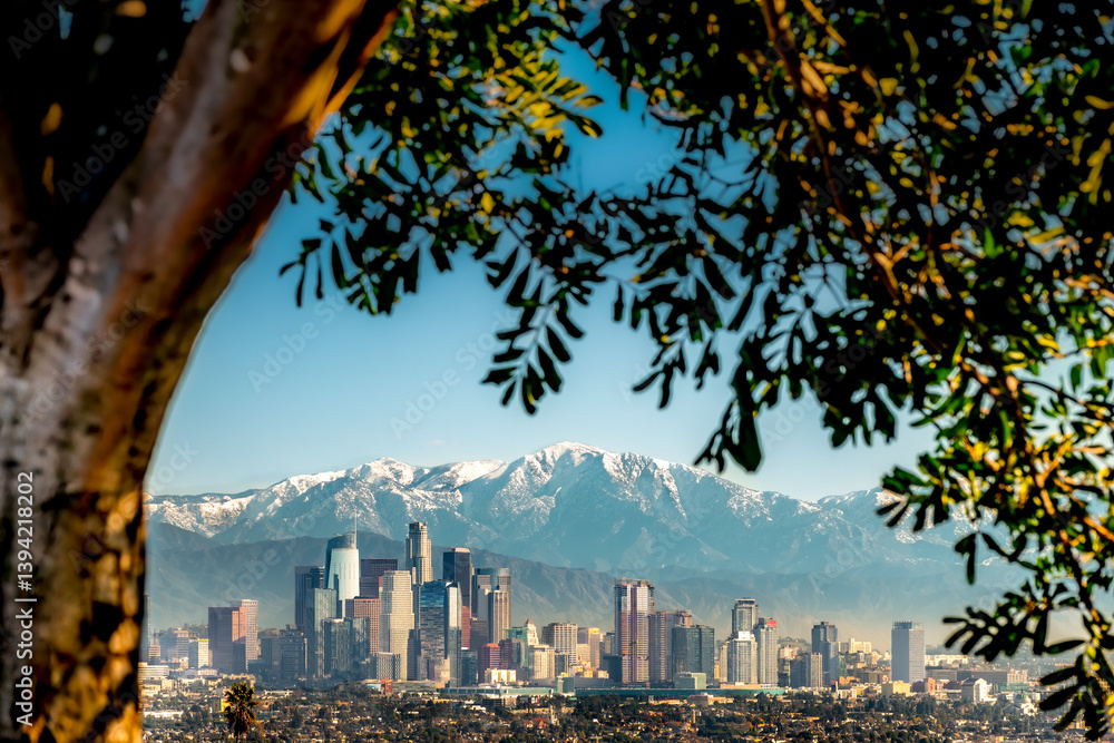 City of Los Angeles seen from a parkland framed by a Springtime tree