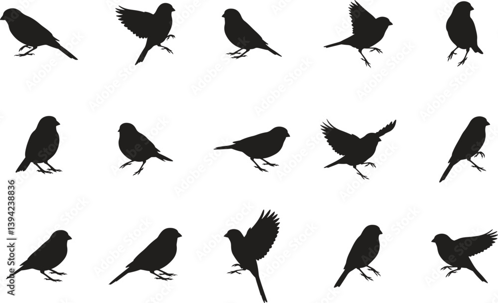 Obraz premium Various Bird Silhouettes on White Background