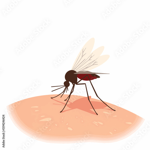 Mosquito feeding on human skin surface, nature and biology concept