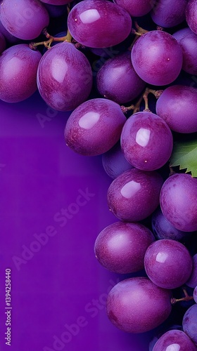 A close-up image showcases ...