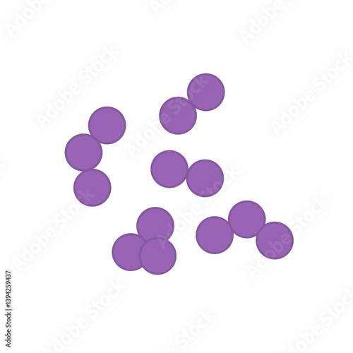 Streptococcus pneumoniae bacteria. Vector bacterial microorganism illustration 