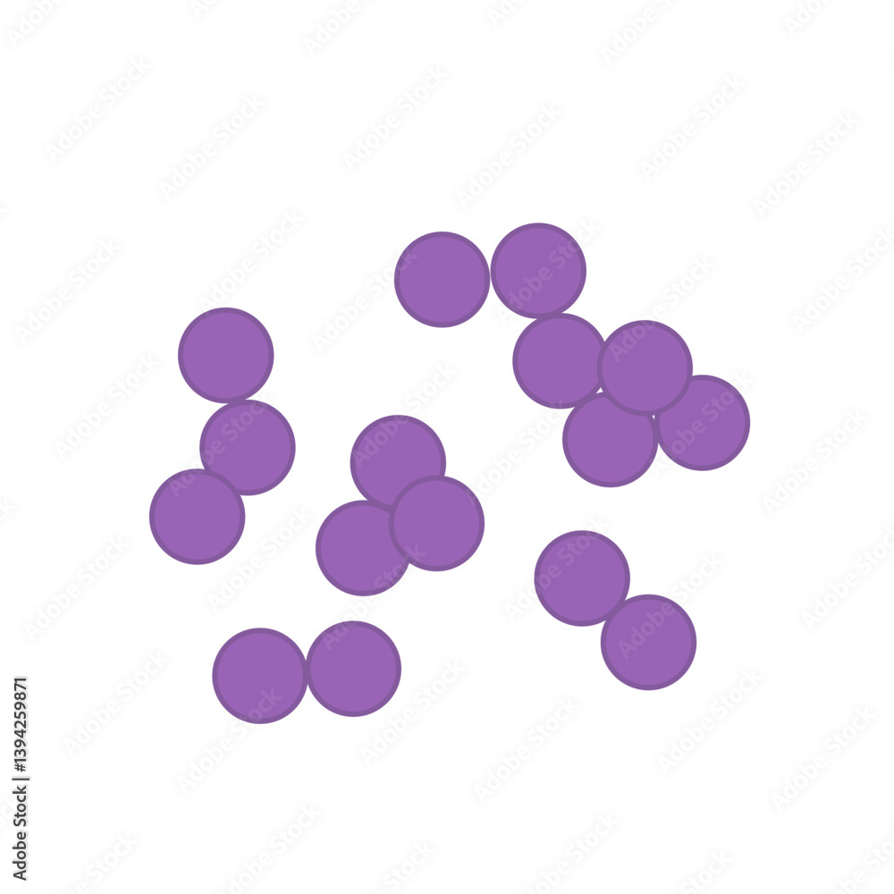 Streptococcus pneumoniae bacteria. Vector bacterial microorganism illustration Streptococcus pneumoniae bacteria. Vector bacterial microorganism illustration