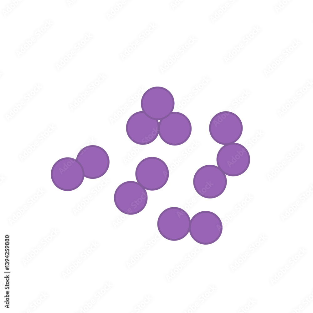 Streptococcus pneumoniae bacteria. Vector bacterial microorganism illustration Streptococcus pneumoniae bacteria. Vector bacterial microorganism illustration