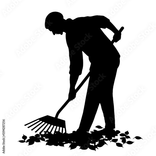 Silhouette of person raking fallen autumn leaves during fall season in long-sleeved shirt, pants, bending forward during seasonal leaf fall, gardening, autumn work, care, cleaning, seasonal outdoor ga