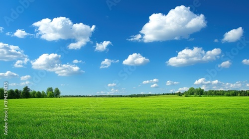 Expansive green grass lawn with trees and blue skies