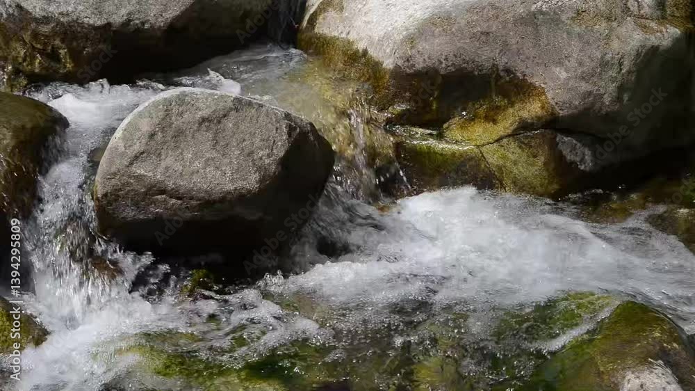 water flowing over rocks in forest water flowing over rocks in forest