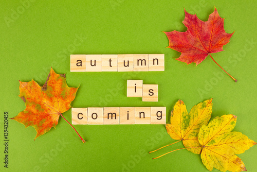 Wallpaper Mural Autumn is coming Torontodigital.ca