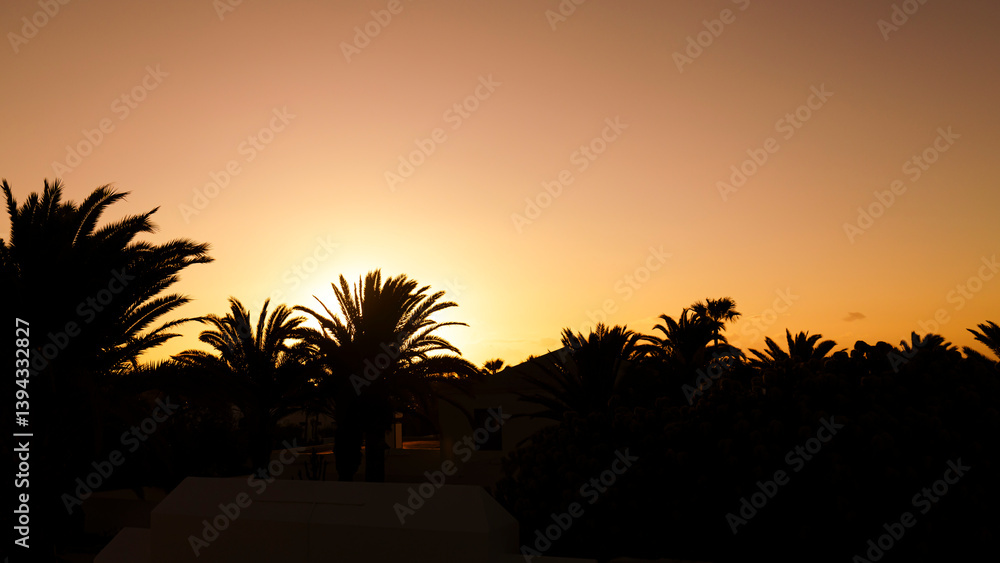 Obraz premium Orange sunrise over palm tree silhouettes