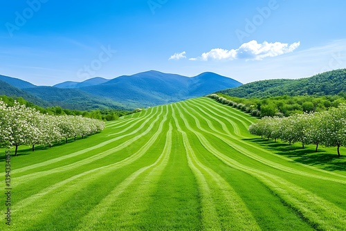 Obraz na płótnie A vibrant green landscape with rolling hills and a blue sky w salonie