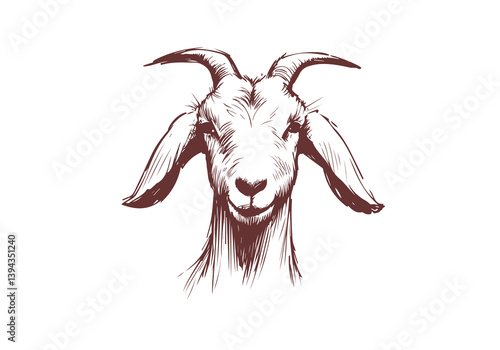 Boer Goat hand drawn sketch illustration vector