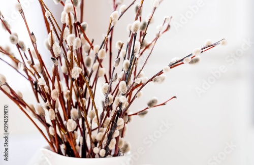 Obraz na płótnie Religion. Palm Sunday. A bouquet of willow twigs for the Orthodox holiday. Willow in a white jug in the interior. w salonie