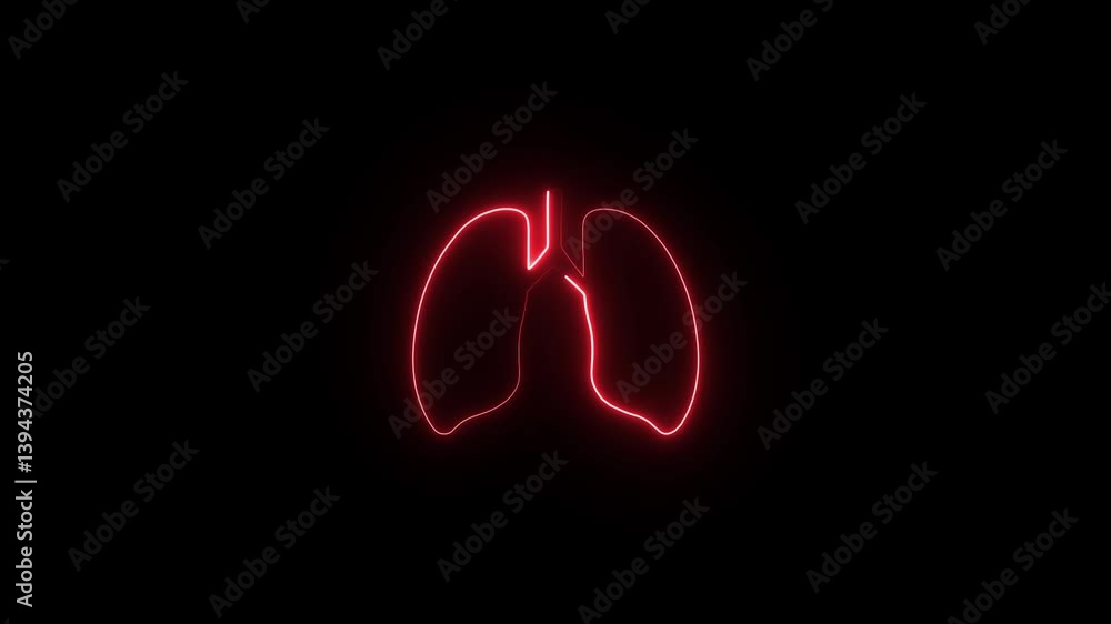 The appearance of lungs neon glowing symbol . Neon human lung icon animation. Neon line lungs icon isolated on black background. The appearance of lungs neon glowing symbol . Neon human lung icon animation. Neon line lungs icon isolated on black background.