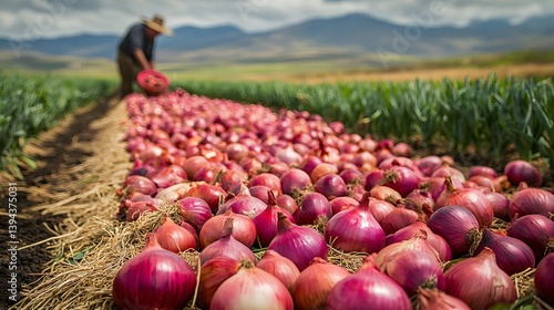 A farmer harvests a row of ripe red onions in a rural field. The rich colors of the onions and the surrounding landscape are stunning. Harvesting Red Onions in a Rural Field