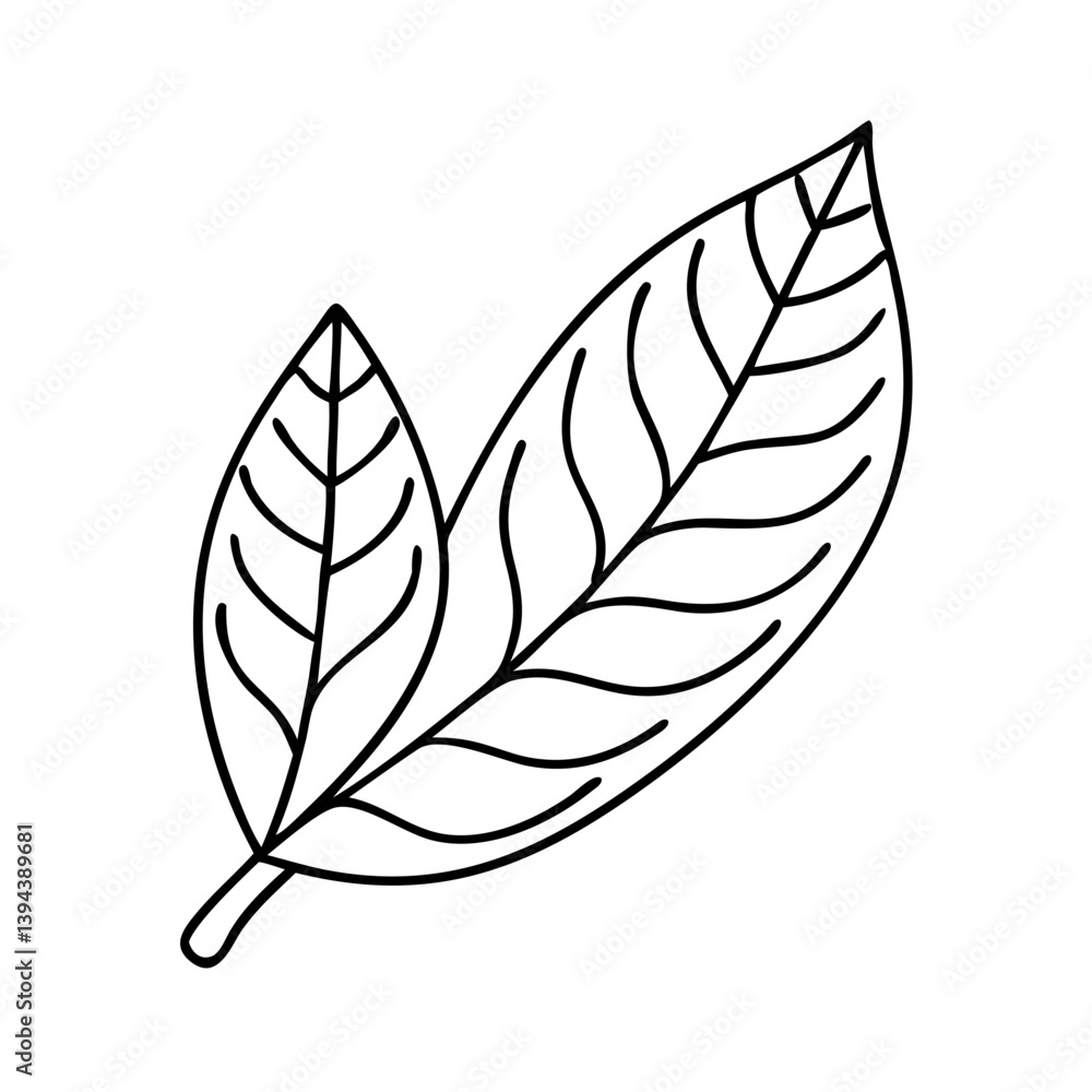 leaf icon, leaf vector illustration-simple illustration of leaf, perfect for leaf logos and icons leaf icon, leaf vector illustration-simple illustration of leaf, perfect for leaf logos and icons