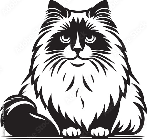 Black and White Ragdoll Cat Vector	