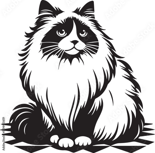 Black and White Ragdoll Cat Vector	