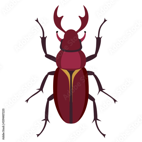 Stag beetle