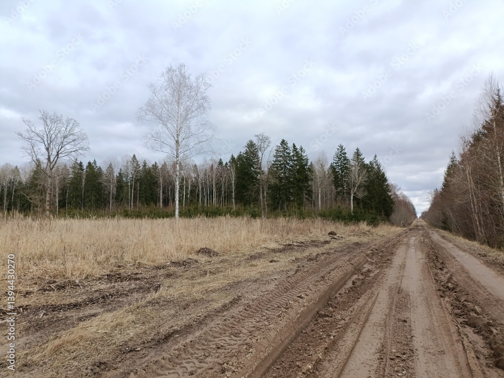 Road in forest in Siauliai county during cloudy spring day. Oak and birch tree woodland. Cloudy day with white clouds in sky. Bushes are growing in woods. Sandy road. Nature. Spring season. Miskas. Road in forest in Siauliai county during cloudy spring day. Oak and birch tree woodland. Cloudy day with white clouds in sky. Bushes are growing in woods. Sandy road. Nature. Spring season. Miskas.