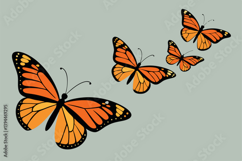 butterfly on a white background