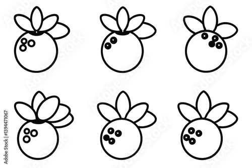  bilberry line art representing antioxidant rich superfoods.