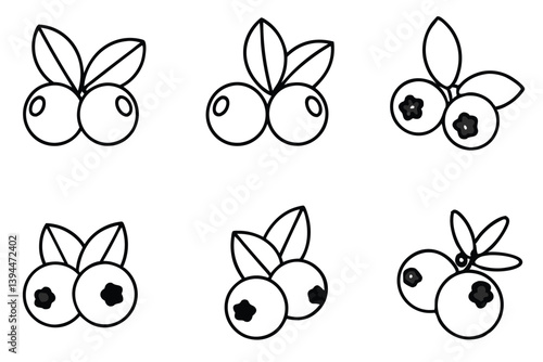 bilberry line art design for health and wellness