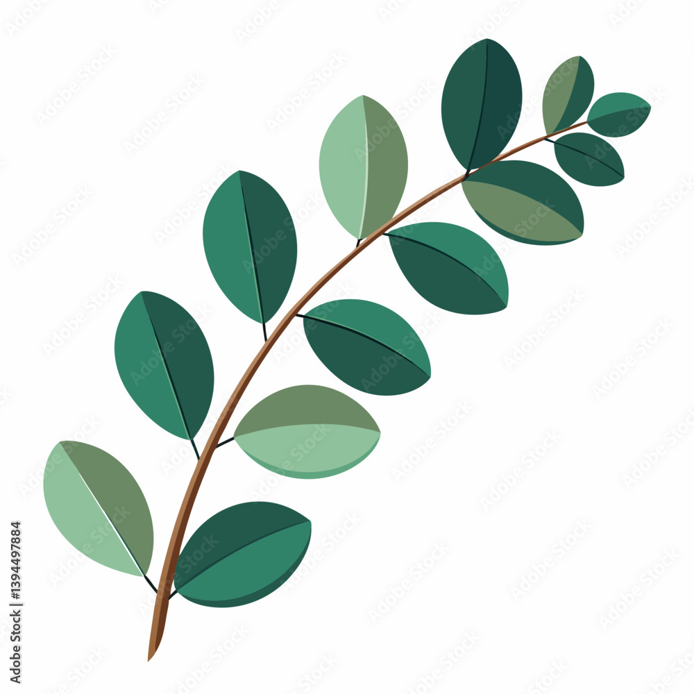 curved eucalyptus branch with round curved eucalyptus branch with round
