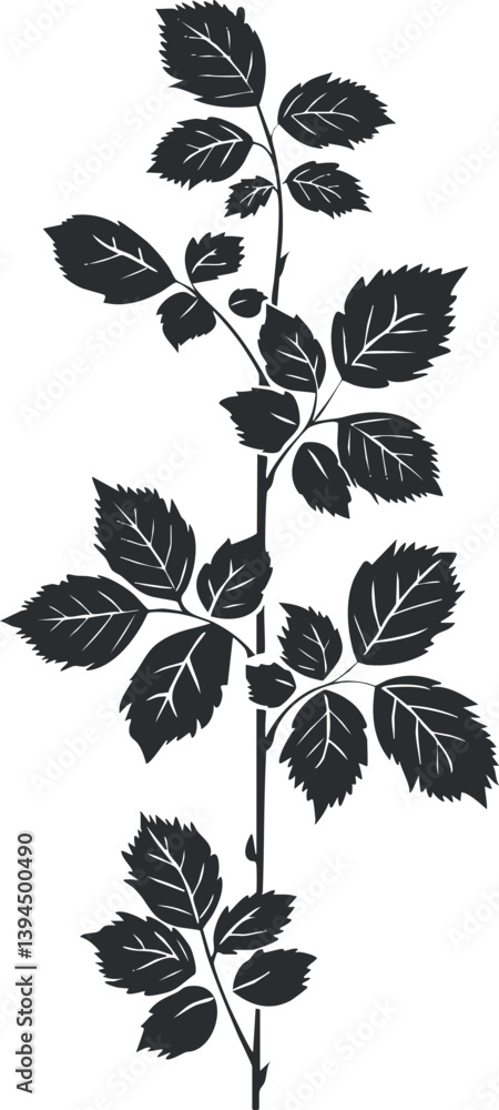 Obraz premium Black and white silhouette of a plant with detailed leaves and stems, creating a botanical design.