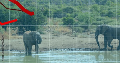 In animation, red downward arrow over elephant drinking at waterhole in landscape