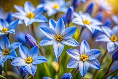 Obraz na płótnie Delicate Wisley Spring Starflower Blooms CloseUp A Stunning Display of Tiny Spring Bulbs w salonie