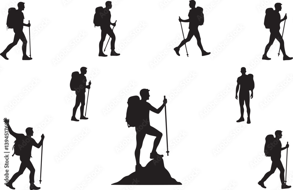 Obraz premium Hiker's Journey Through the Pines