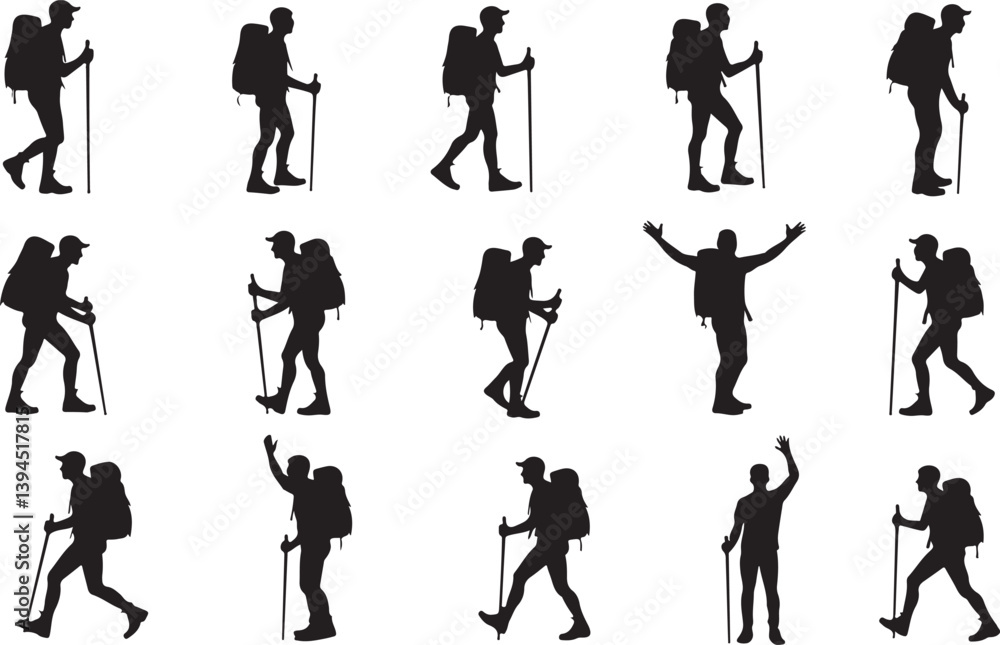 Obraz premium Hiker's Journey Through the Pines