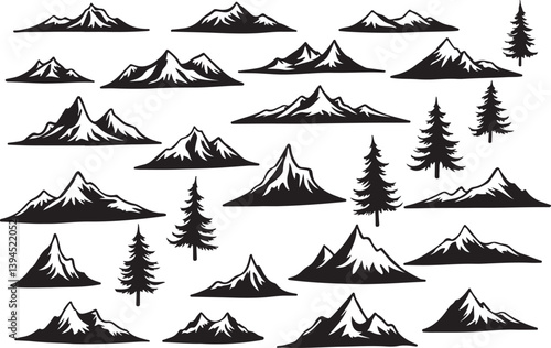 Nature Trails & Evergreen Dreams"