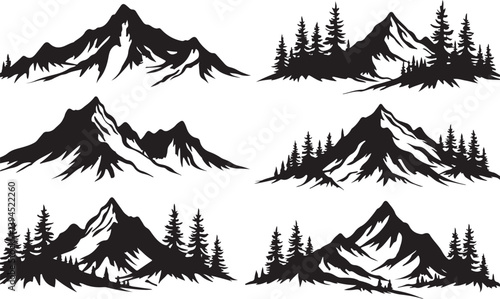 Nature Trails & Evergreen Dreams"