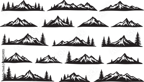 Nature Trails & Evergreen Dreams"