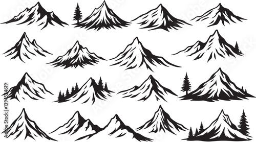 Nature Trails & Evergreen Dreams"