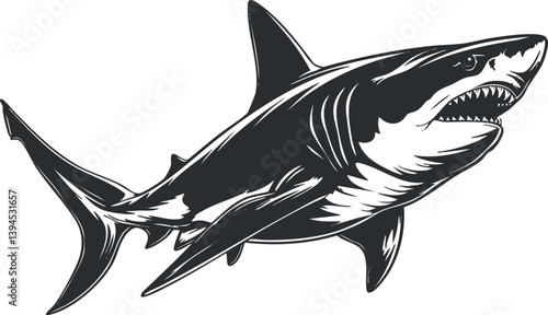 Black and white illustration of a fierce shark, showcasing its powerful and intimidating features.