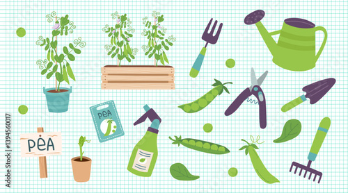 Pea cliparts isolated on checkered background. Gardening concept. Pea and equipment for planting vegetables. Vector hand drawn illustration.