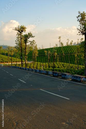 Tea plantation of Valparai