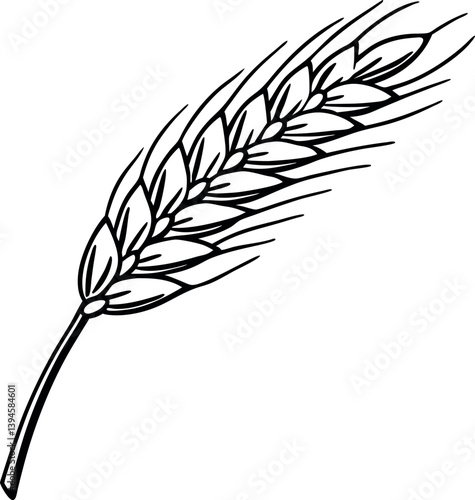 Hoja de Trigo Vector Art for Graphics Design