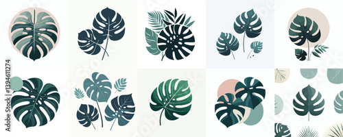 Vector art of monstera leaves in a flat style