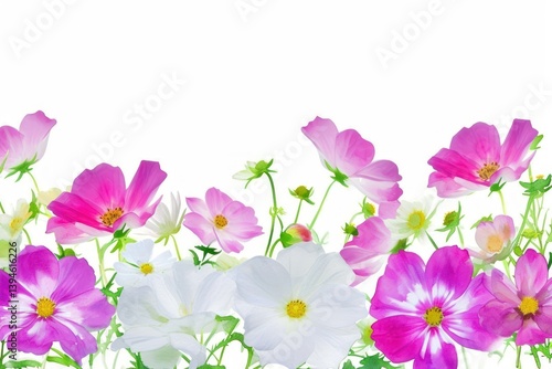 Wallpaper Mural Pink and white flowers backgrounds outdoors blossom. Torontodigital.ca