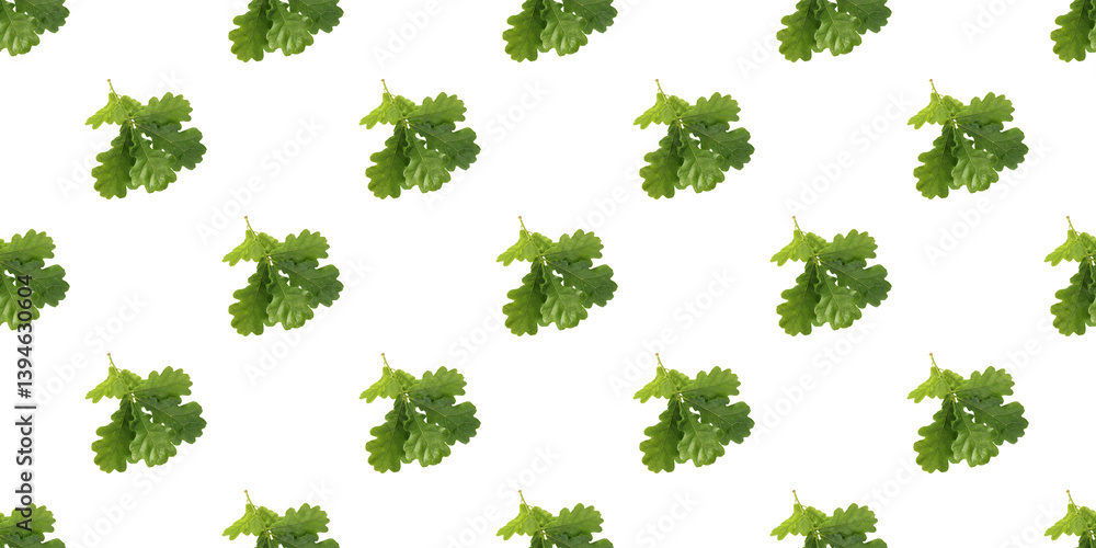 Obraz premium Seamless pattern of vibrant green oak leaves isolated on white background