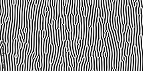 Organic pattern background with abstract irregular zebra lines or bacteria cell texture. Vector organic pattern background with wavy irregular maze lines