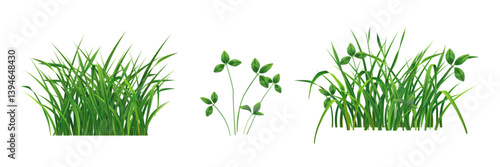 green grass line vector isolated