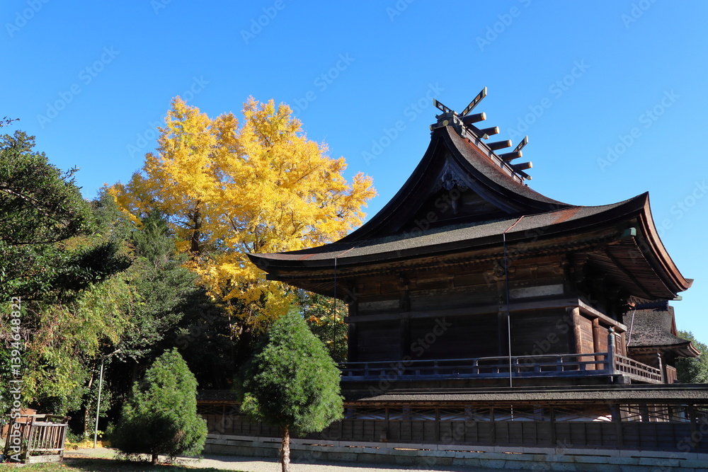 神社と大銀杏 神社と大銀杏