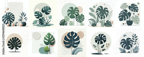 Minimalist flat illustration of monstera foliage, modern design with white background