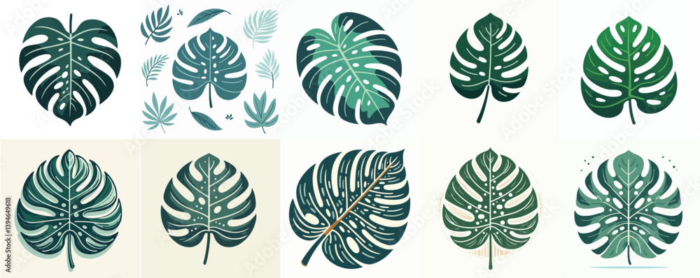 Simple tropical monstera leaf vector, flat design, no texture, white background Simple tropical monstera leaf vector, flat design, no texture, white background