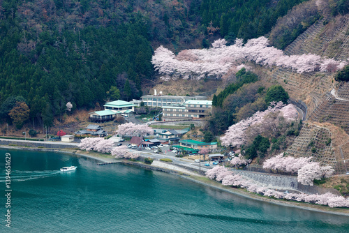 Wallpaper Mural Spring scenery of Lake Biwa , with a resort hotel surrounded by beautiful cherry blossom trees on the lakeside hill, seen from Tsuzura Ozaki viewpoint in Nagahama, Shiga Prefecture , Japan Torontodigital.ca