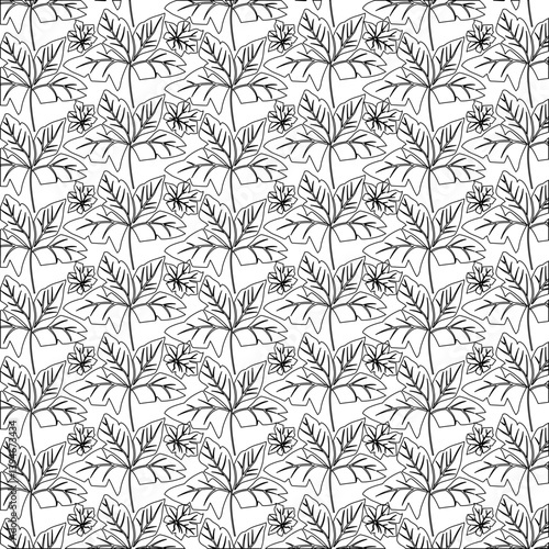 Wallpaper Mural beautiful black and white flower pattern background design  Torontodigital.ca
